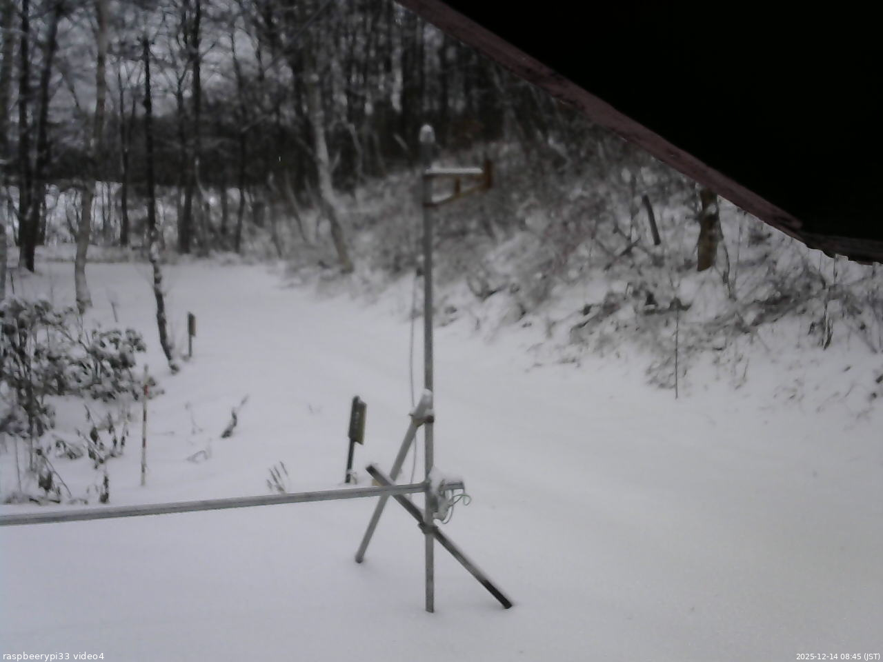 長野県菅平高原 ゆたか山荘 東側(坂下) 2025/12/14 08:45