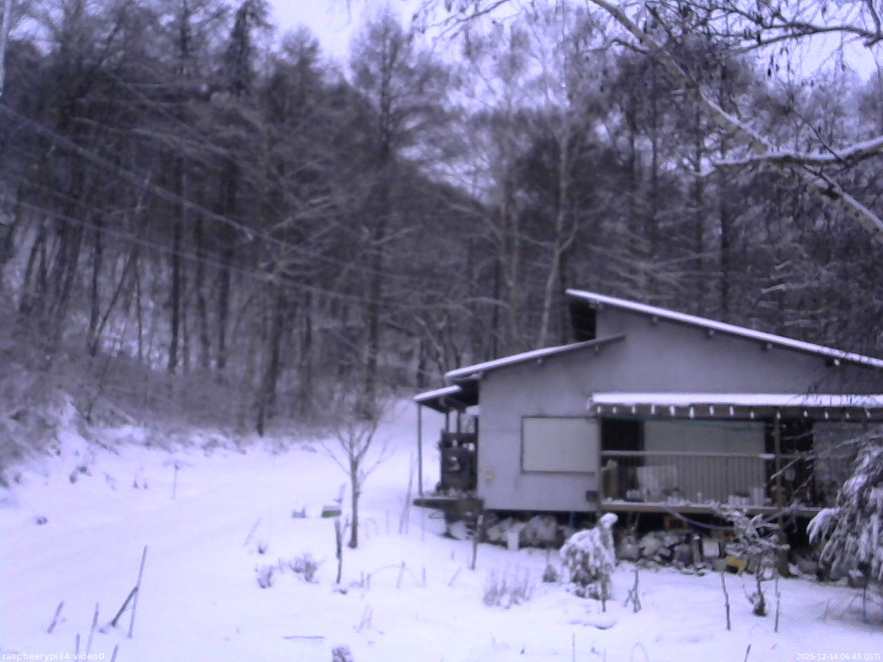 長野県菅平高原 ゆたか山荘 西側(坂上) 2025/12/14 06:45