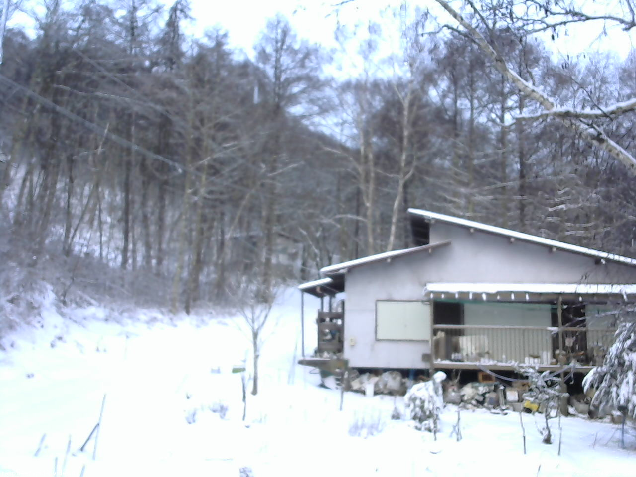 長野県菅平高原 ゆたか山荘 西側(坂上) 2025/12/14 07:30