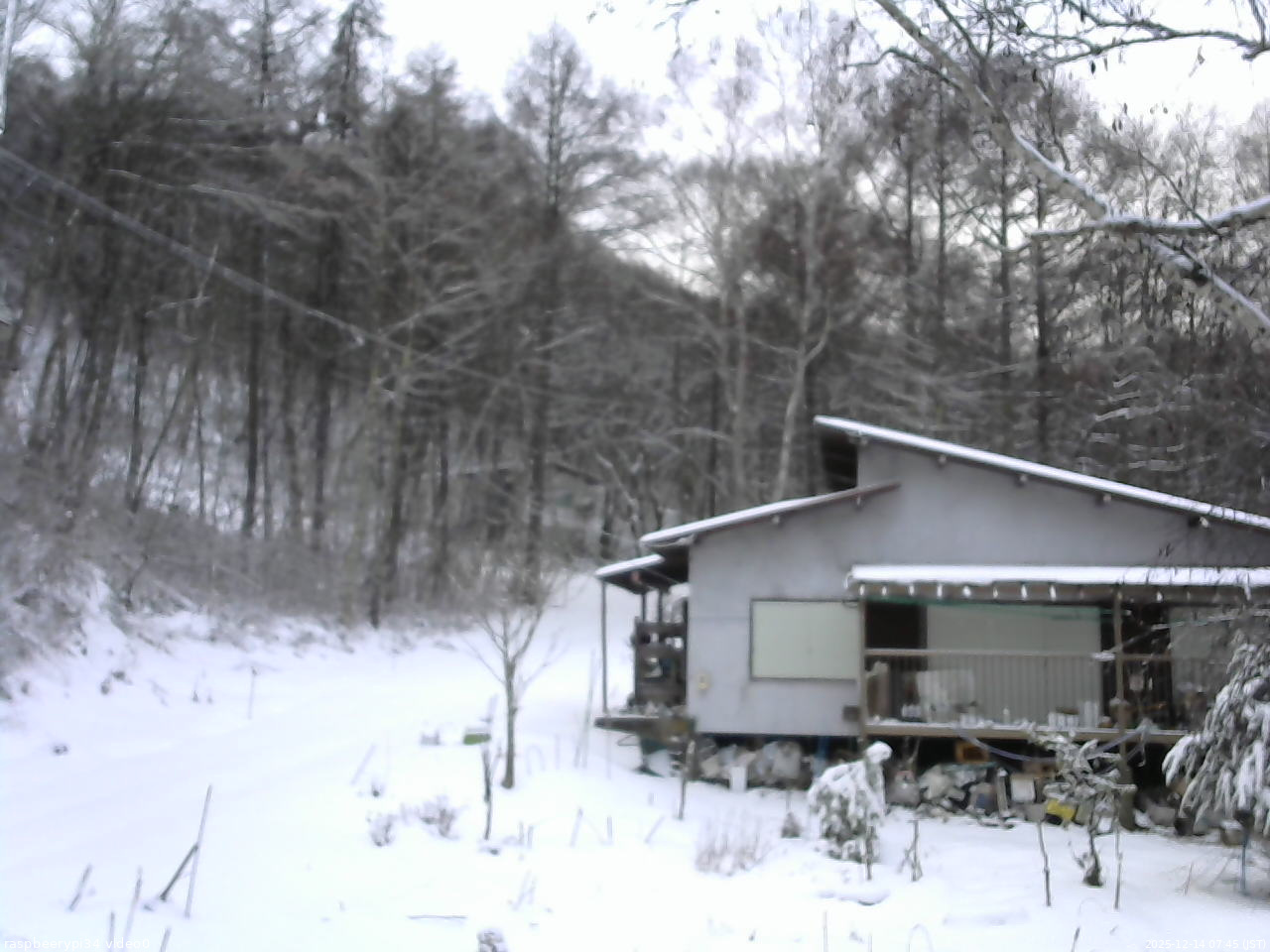 長野県菅平高原 ゆたか山荘 西側(坂上) 2025/12/14 07:45