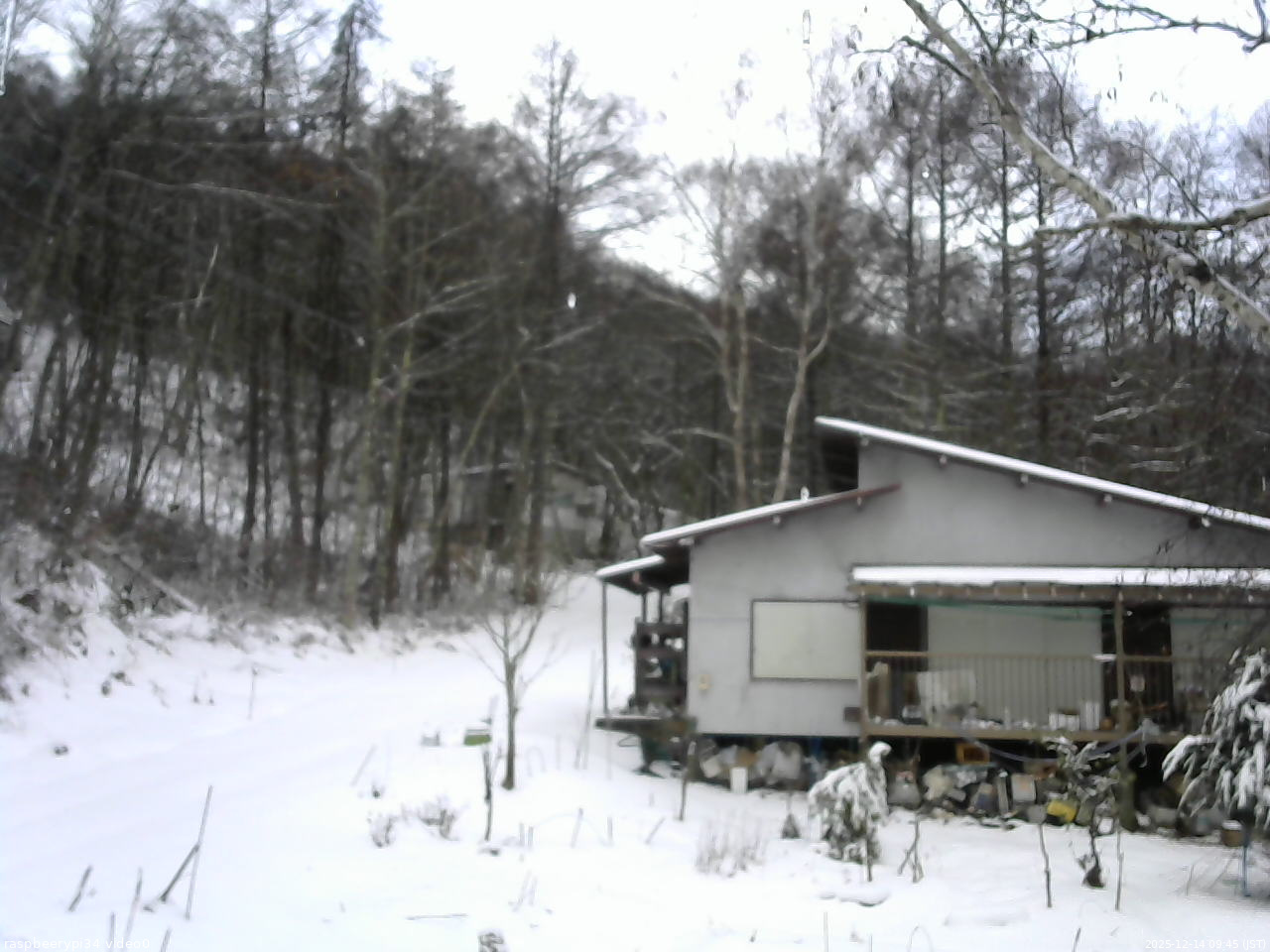 長野県菅平高原 ゆたか山荘 西側(坂上) 2025/12/14 09:45