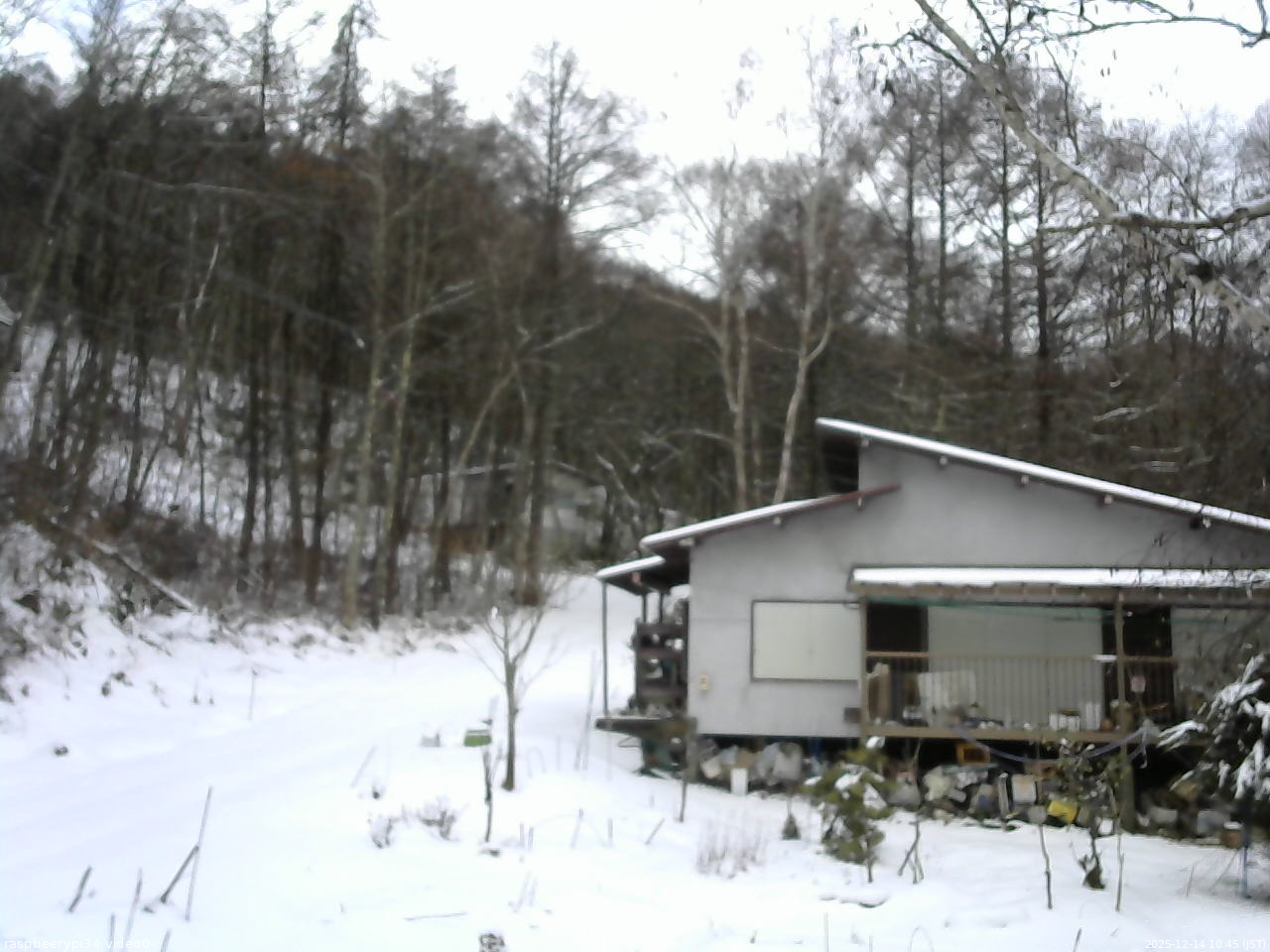 長野県菅平高原 ゆたか山荘 西側(坂上) 2025/12/14 10:45