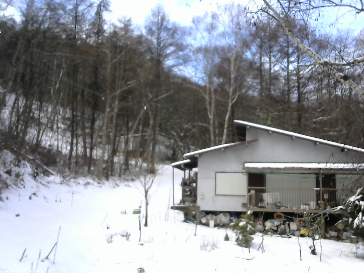 長野県菅平高原 ゆたか山荘 西側(坂上) 2025/12/14 11:00