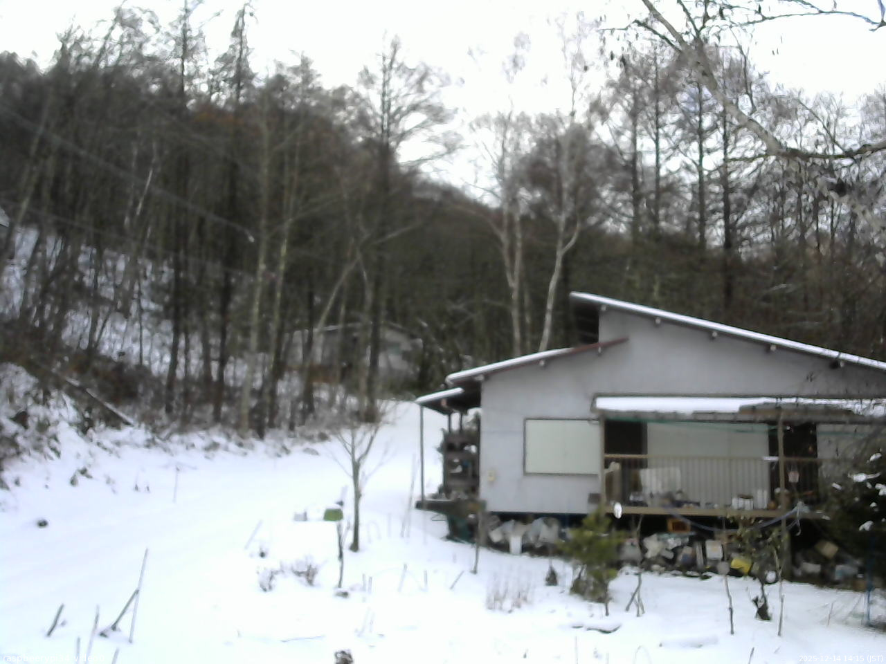 長野県菅平高原 ゆたか山荘 西側(坂上) 2025/12/14 14:15
