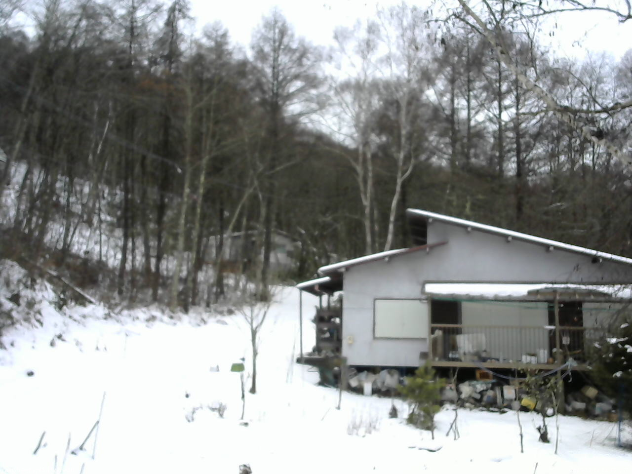 長野県菅平高原 ゆたか山荘 西側(坂上) 2025/12/14 14:45