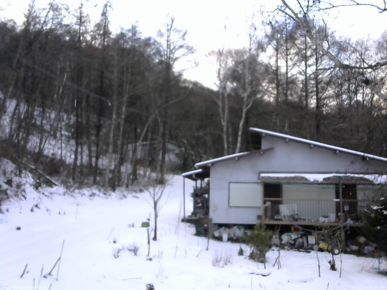 長野県菅平高原 ゆたか山荘 西側(坂上) 2025/12/14 16:00
