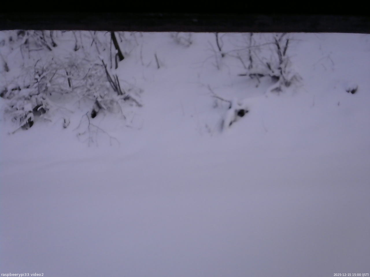 長野県菅平高原 ゆたか山荘 南側 2025/12/15 15:00