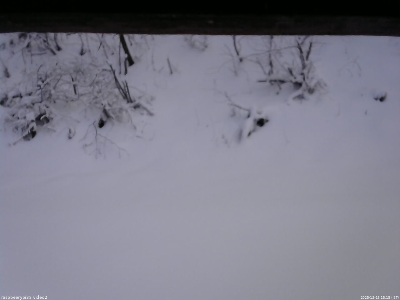 長野県菅平高原 ゆたか山荘 南側 2025/12/15 15:15