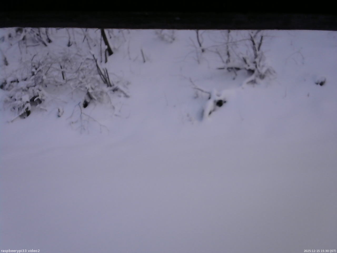 長野県菅平高原 ゆたか山荘 南側 2025/12/15 15:30