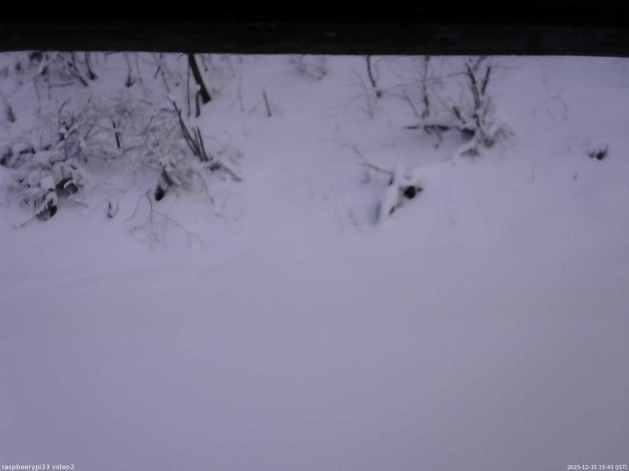長野県菅平高原 ゆたか山荘 南側 2025/12/15 15:45
