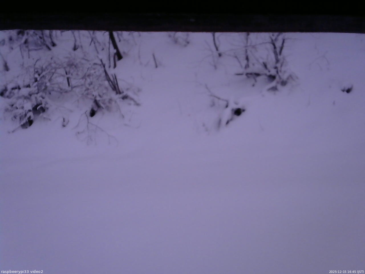 長野県菅平高原 ゆたか山荘 南側 2025/12/15 16:45