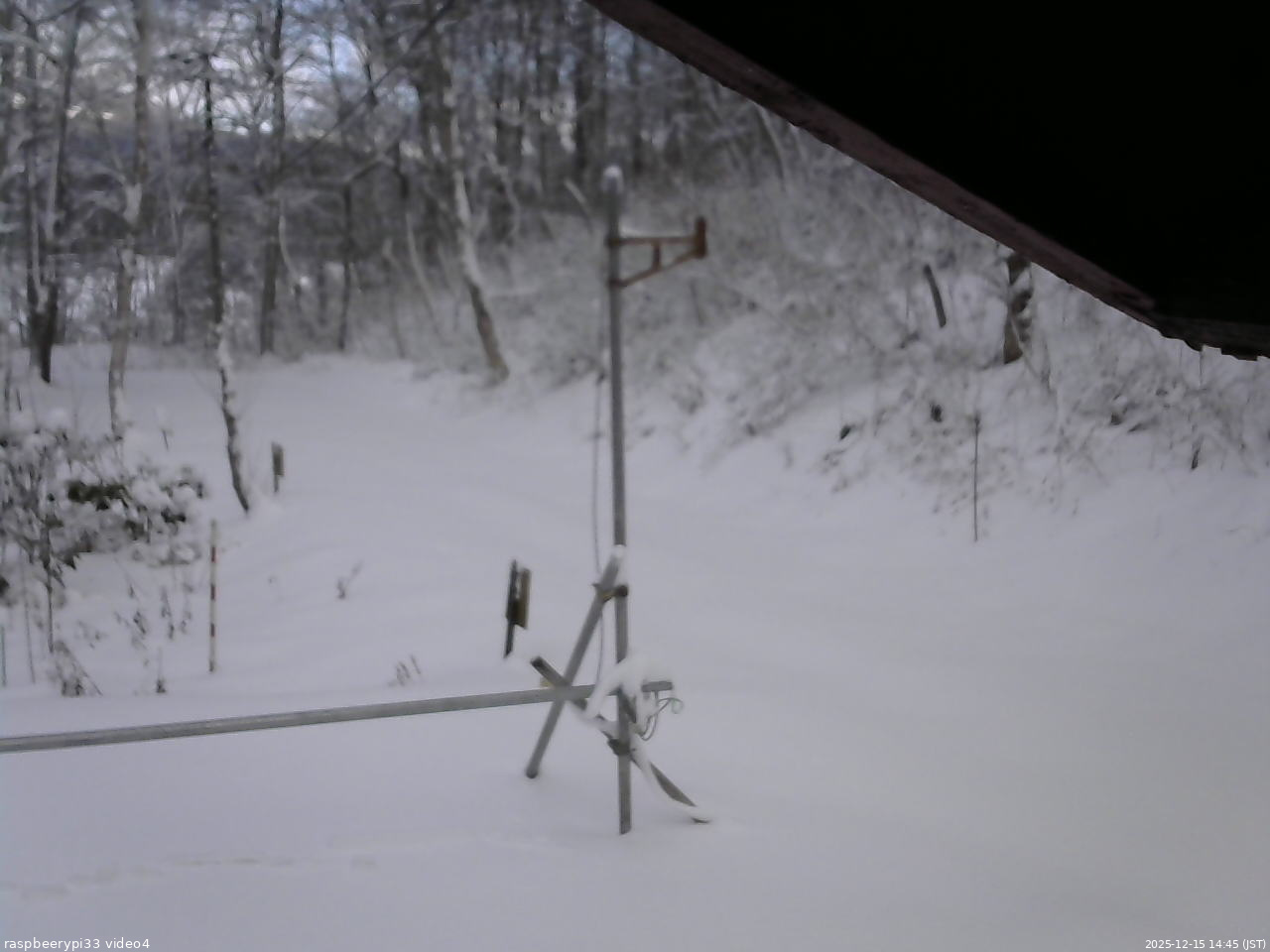 長野県菅平高原 ゆたか山荘 東側(坂下) 2025/12/15 14:45