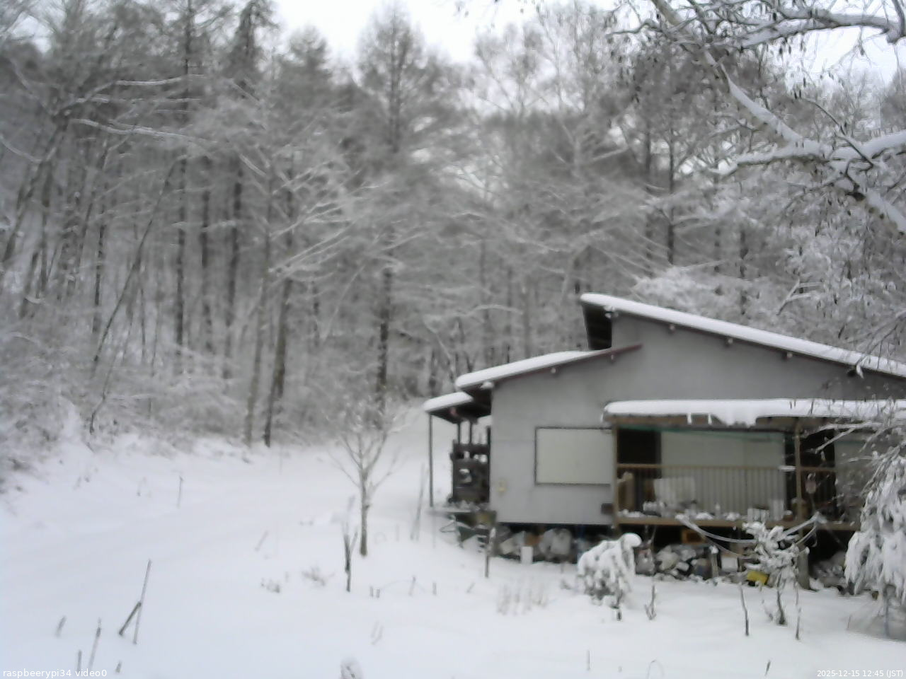 長野県菅平高原 ゆたか山荘 西側(坂上) 2025/12/15 12:45