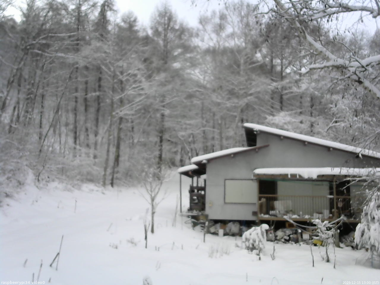 長野県菅平高原 ゆたか山荘 西側(坂上) 2025/12/15 13:00