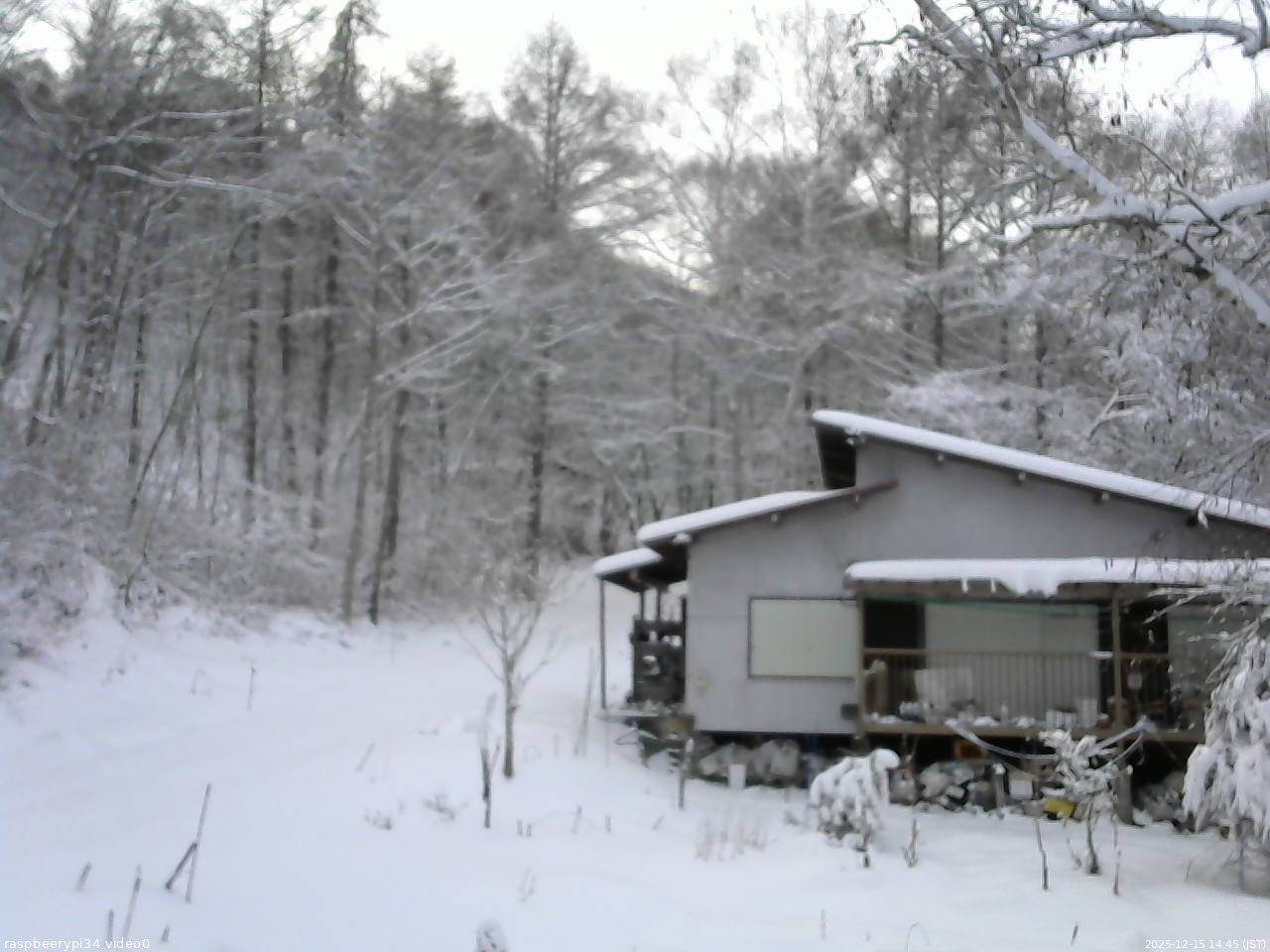 長野県菅平高原 ゆたか山荘 西側(坂上) 2025/12/15 14:45