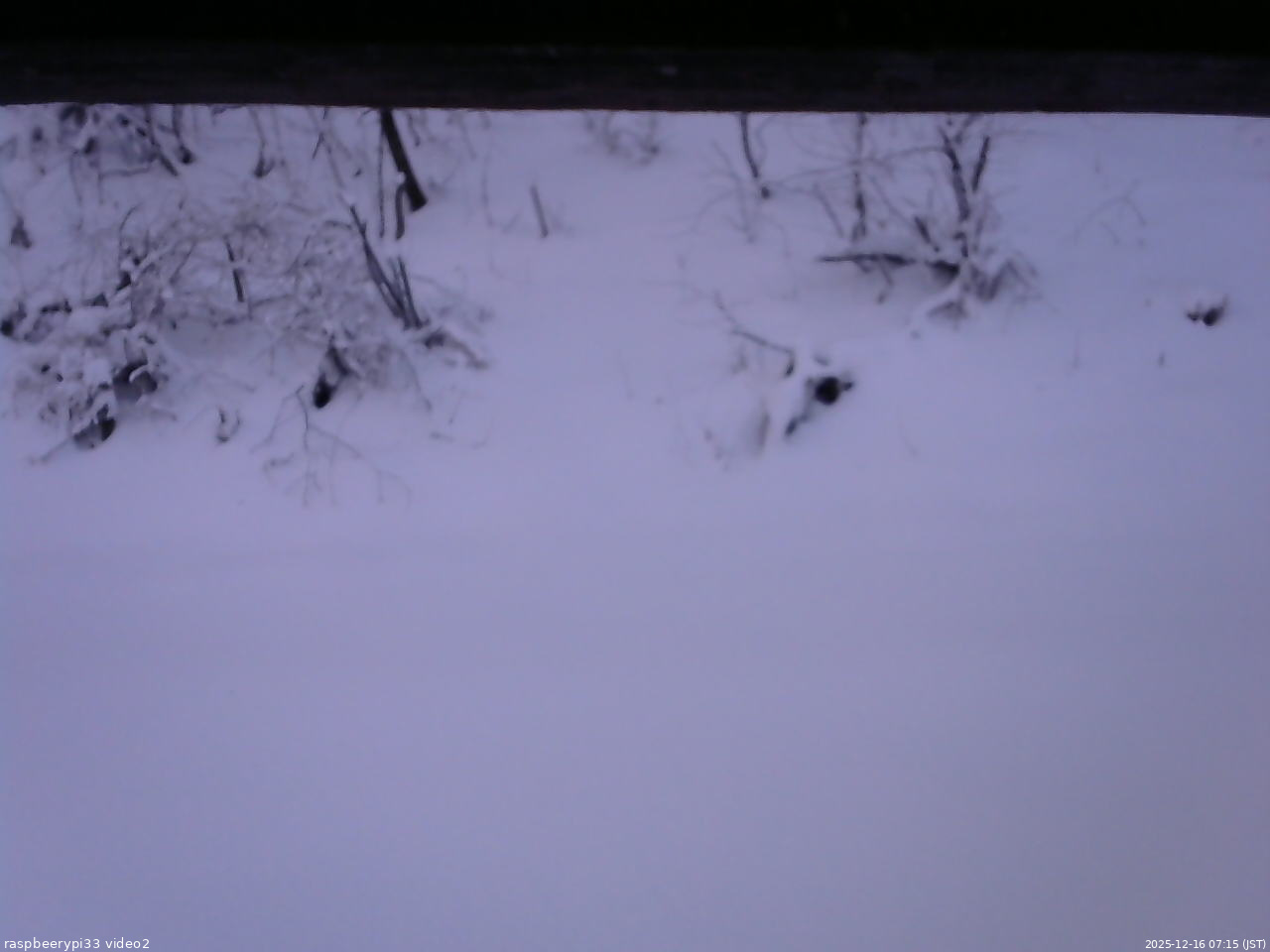 長野県菅平高原 ゆたか山荘 南側 2025/12/16 07:15
