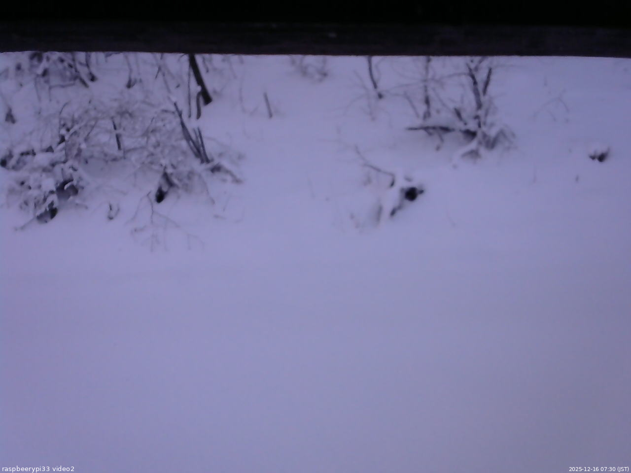 長野県菅平高原 ゆたか山荘 南側 2025/12/16 07:30