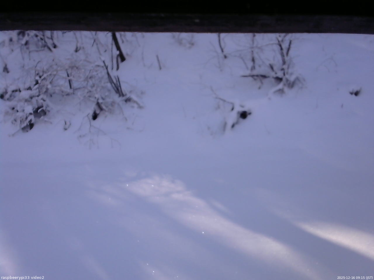 長野県菅平高原 ゆたか山荘 南側 2025/12/16 09:15
