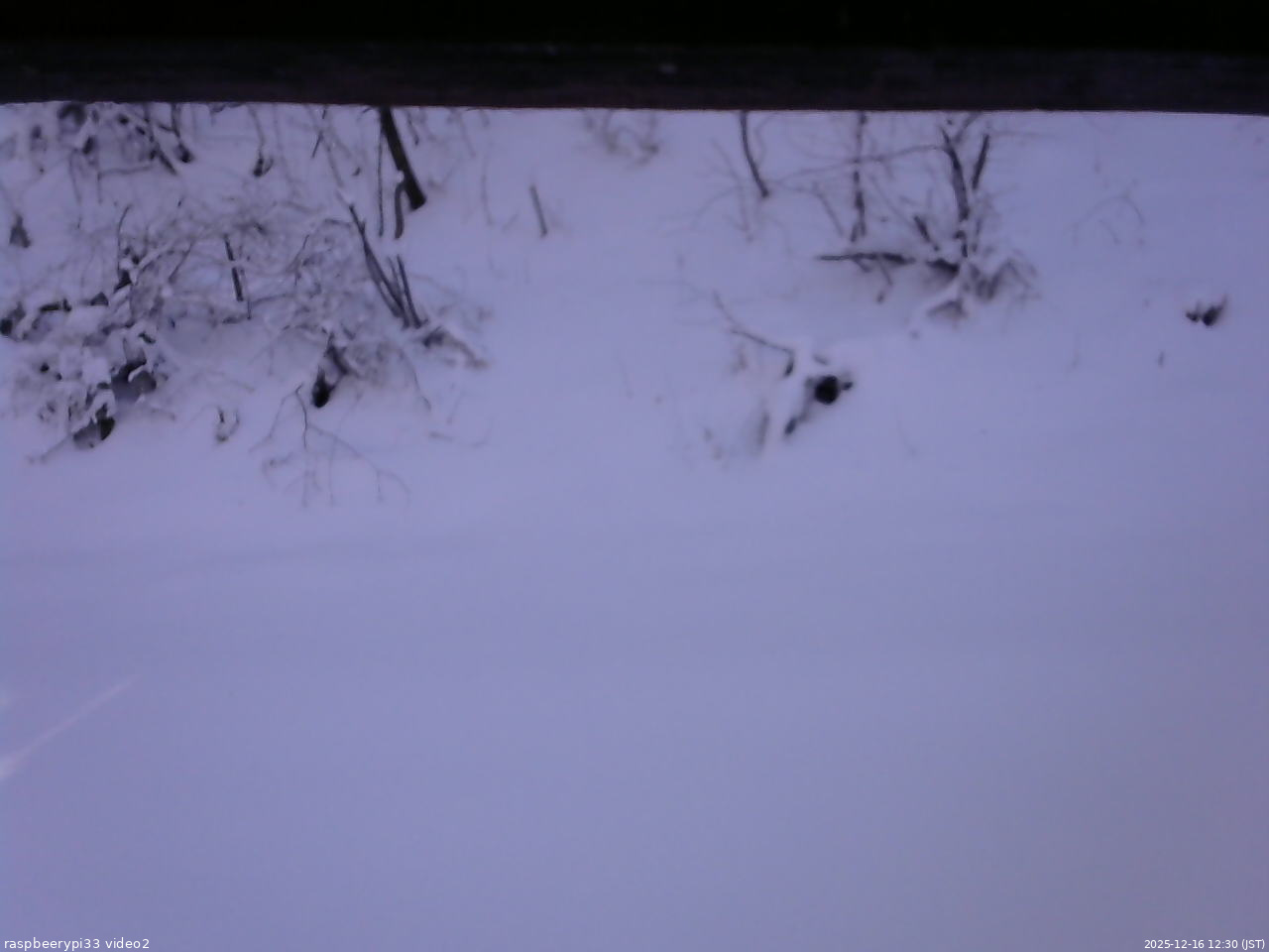 長野県菅平高原 ゆたか山荘 南側 2025/12/16 12:30