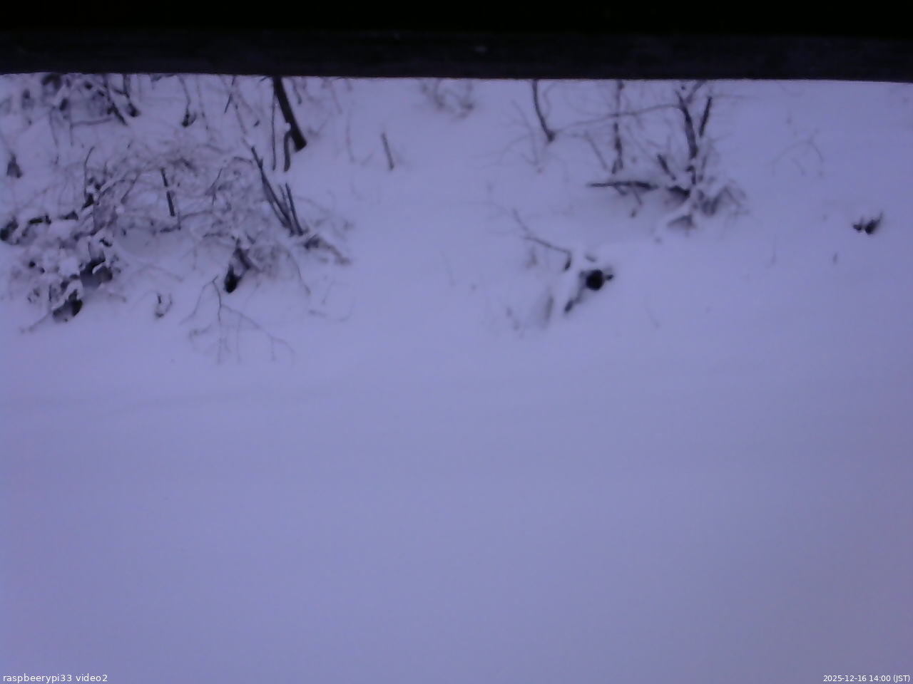長野県菅平高原 ゆたか山荘 南側 2025/12/16 14:00