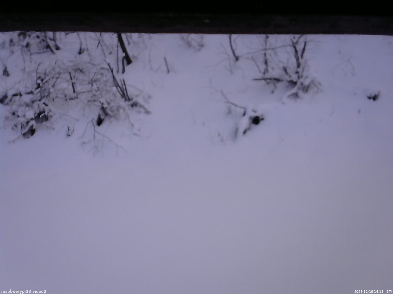 長野県菅平高原 ゆたか山荘 南側 2025/12/16 14:15