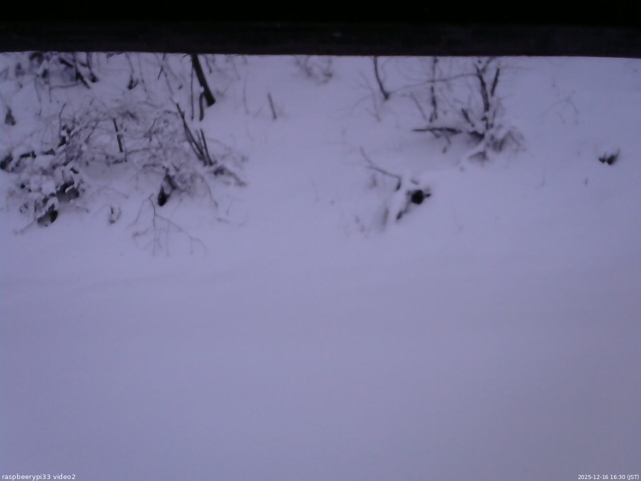 長野県菅平高原 ゆたか山荘 南側 2025/12/16 16:30