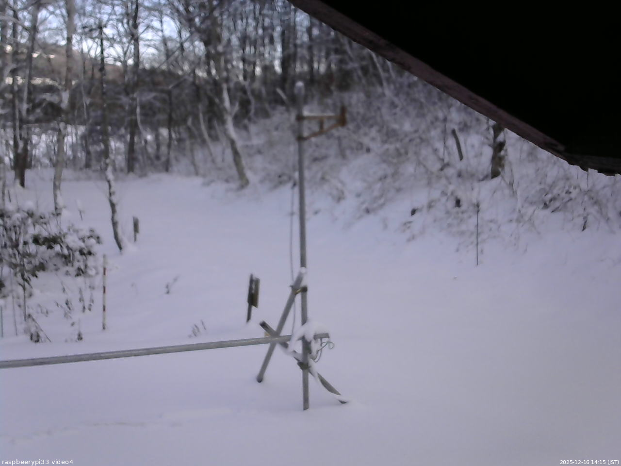 長野県菅平高原 ゆたか山荘 東側(坂下) 2025/12/16 14:15