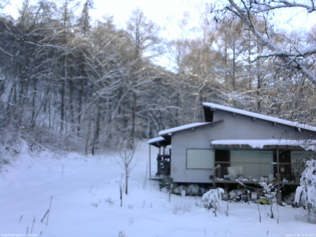 長野県菅平高原 ゆたか山荘 西側(坂上) 2025/12/16 13:45