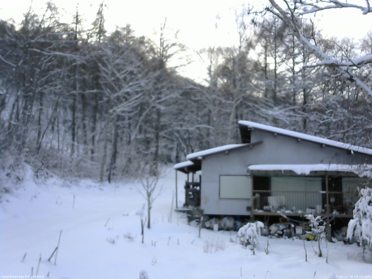 長野県菅平高原 ゆたか山荘 西側(坂上) 2025/12/16 14:15