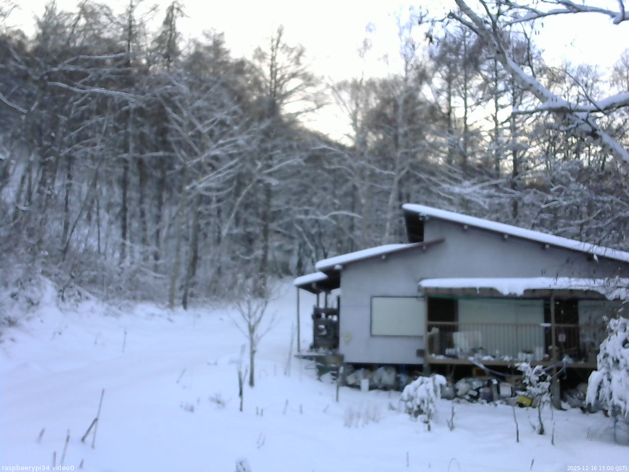 長野県菅平高原 ゆたか山荘 西側(坂上) 2025/12/16 15:00