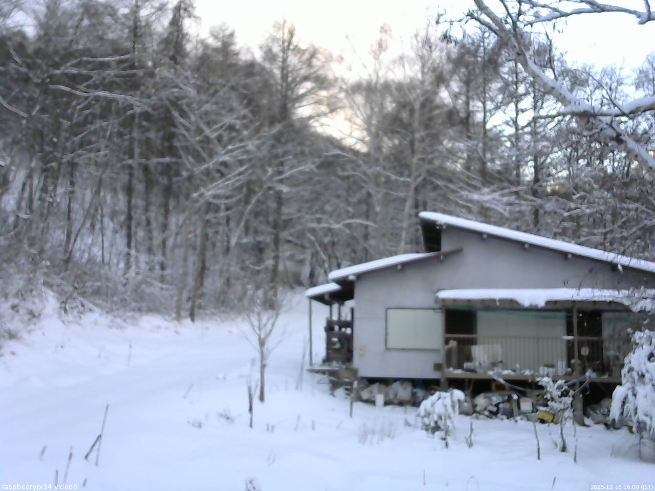 長野県菅平高原 ゆたか山荘 西側(坂上) 2025/12/16 16:00