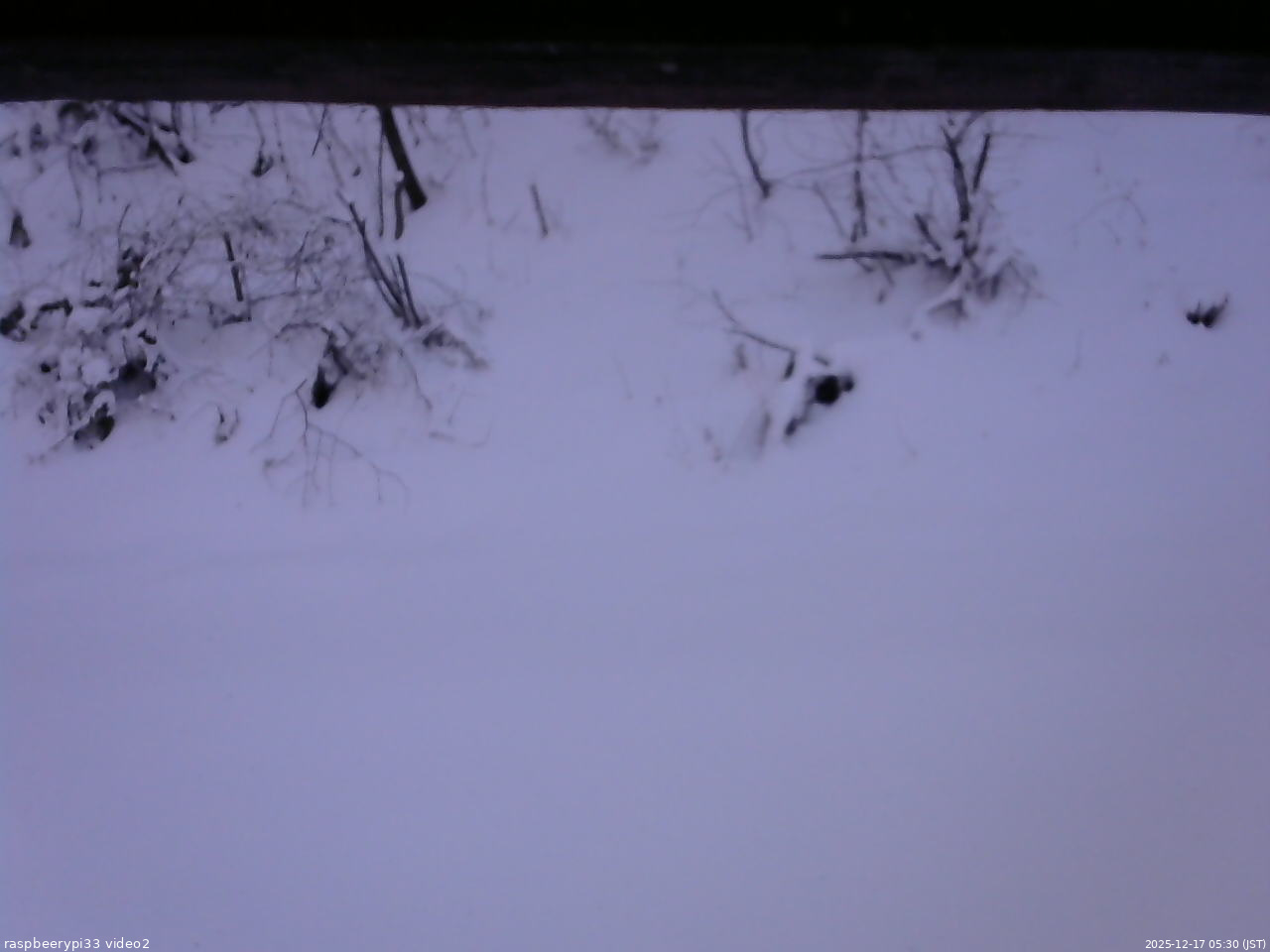 長野県菅平高原 ゆたか山荘 南側 2025/12/17 05:30