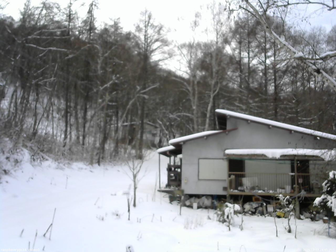 長野県菅平高原 ゆたか山荘 西側(坂上) 2025/12/17 14:45