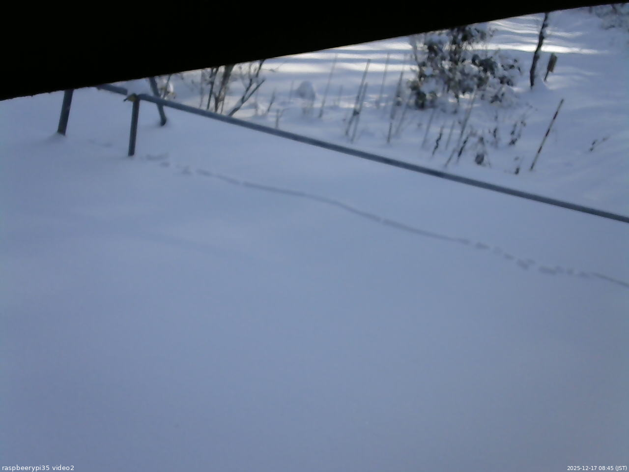 長野県菅平高原 ゆたか山荘 駐車場 2025/12/17 08:45