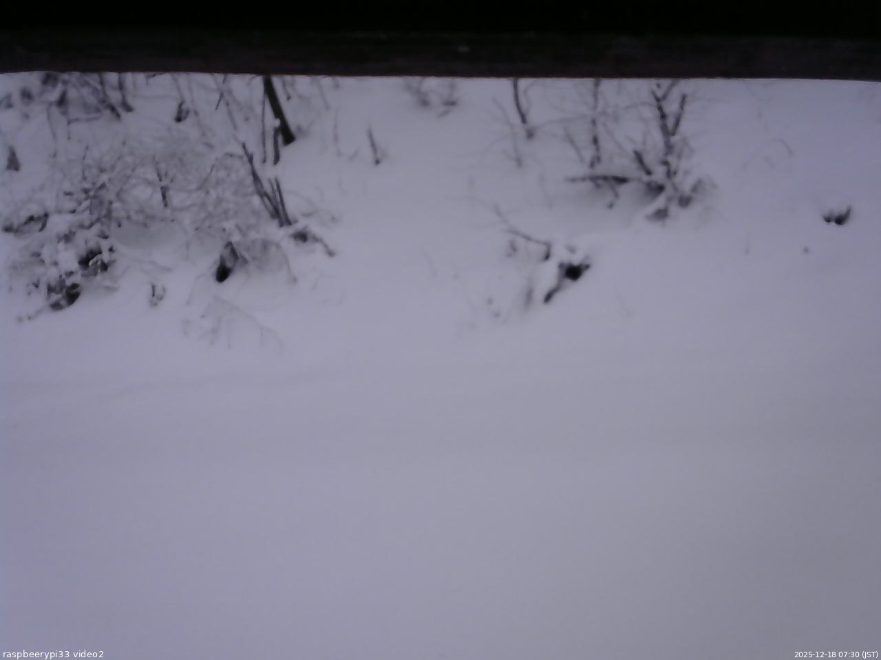 長野県菅平高原 ゆたか山荘 南側 2025/12/18 07:30