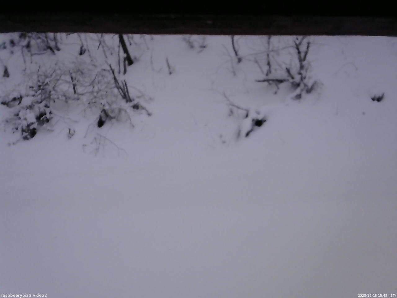 長野県菅平高原 ゆたか山荘 南側 2025/12/18 15:45