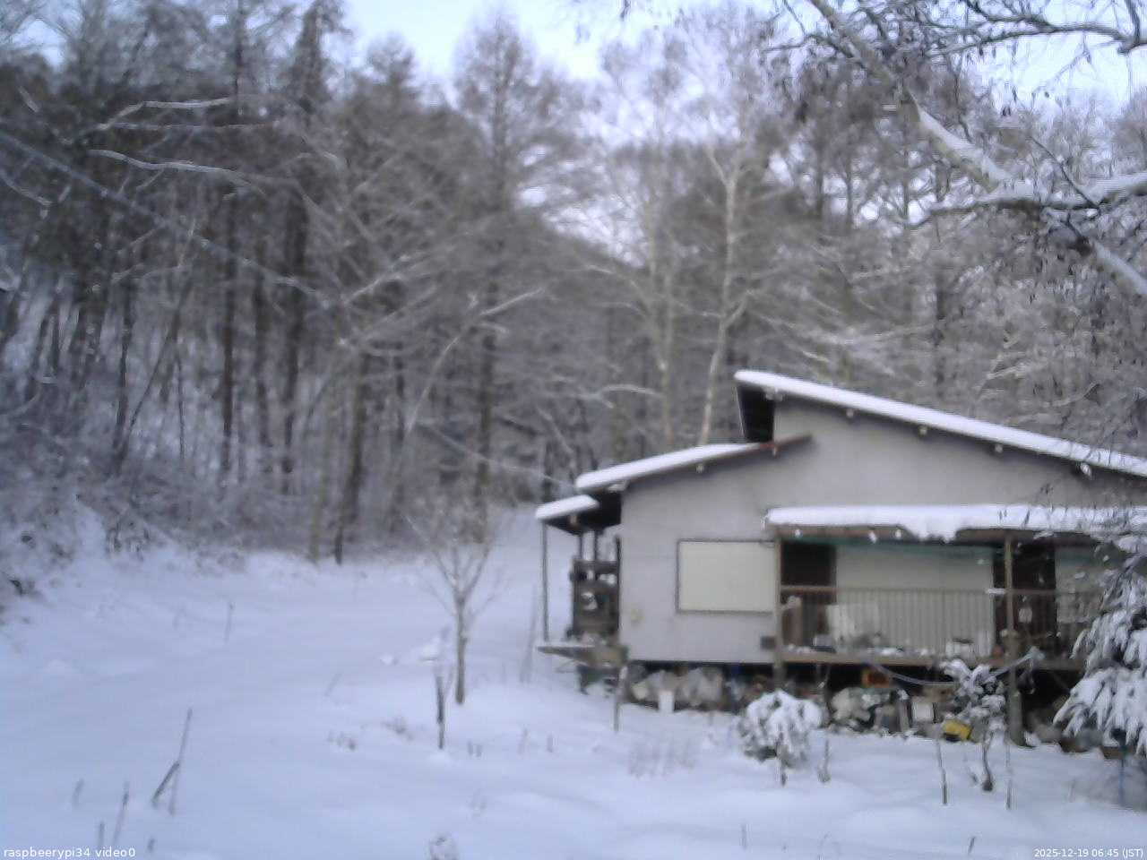長野県菅平高原 ゆたか山荘 西側(坂上) 2025/12/19 06:45