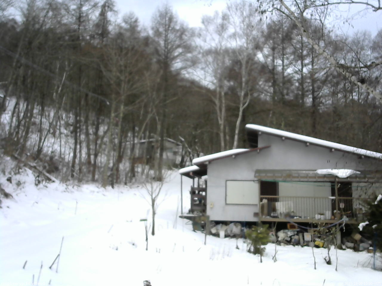 長野県菅平高原 ゆたか山荘 西側(坂上) 2025/12/20 10:00