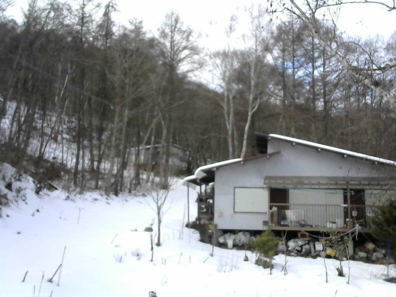 長野県菅平高原 ゆたか山荘 西側(坂上) 2025/12/21 11:00