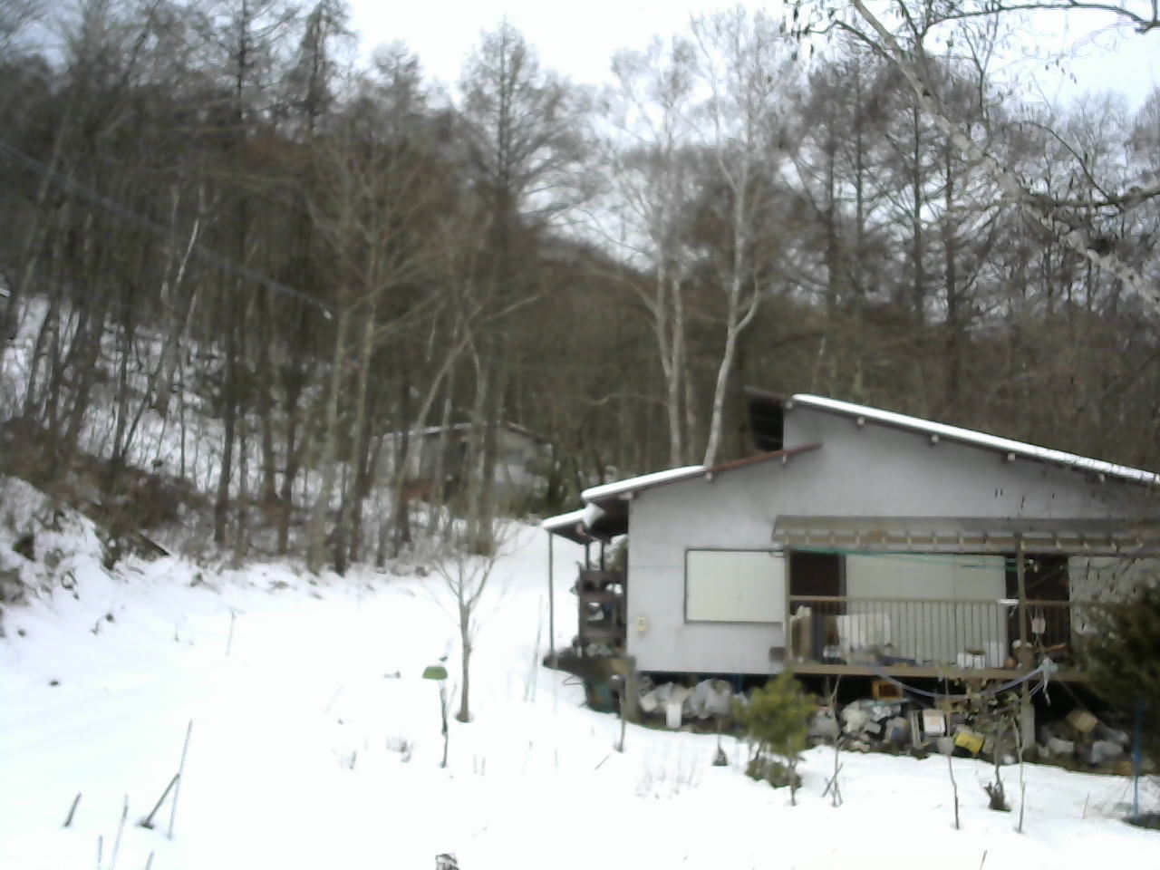 長野県菅平高原 ゆたか山荘 西側(坂上) 2025/12/21 12:15