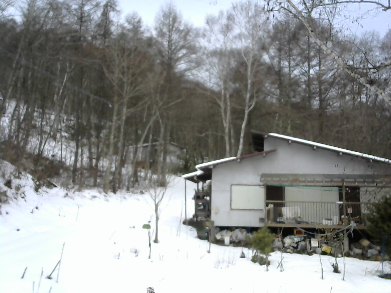 長野県菅平高原 ゆたか山荘 西側(坂上) 2025/12/21 13:15
