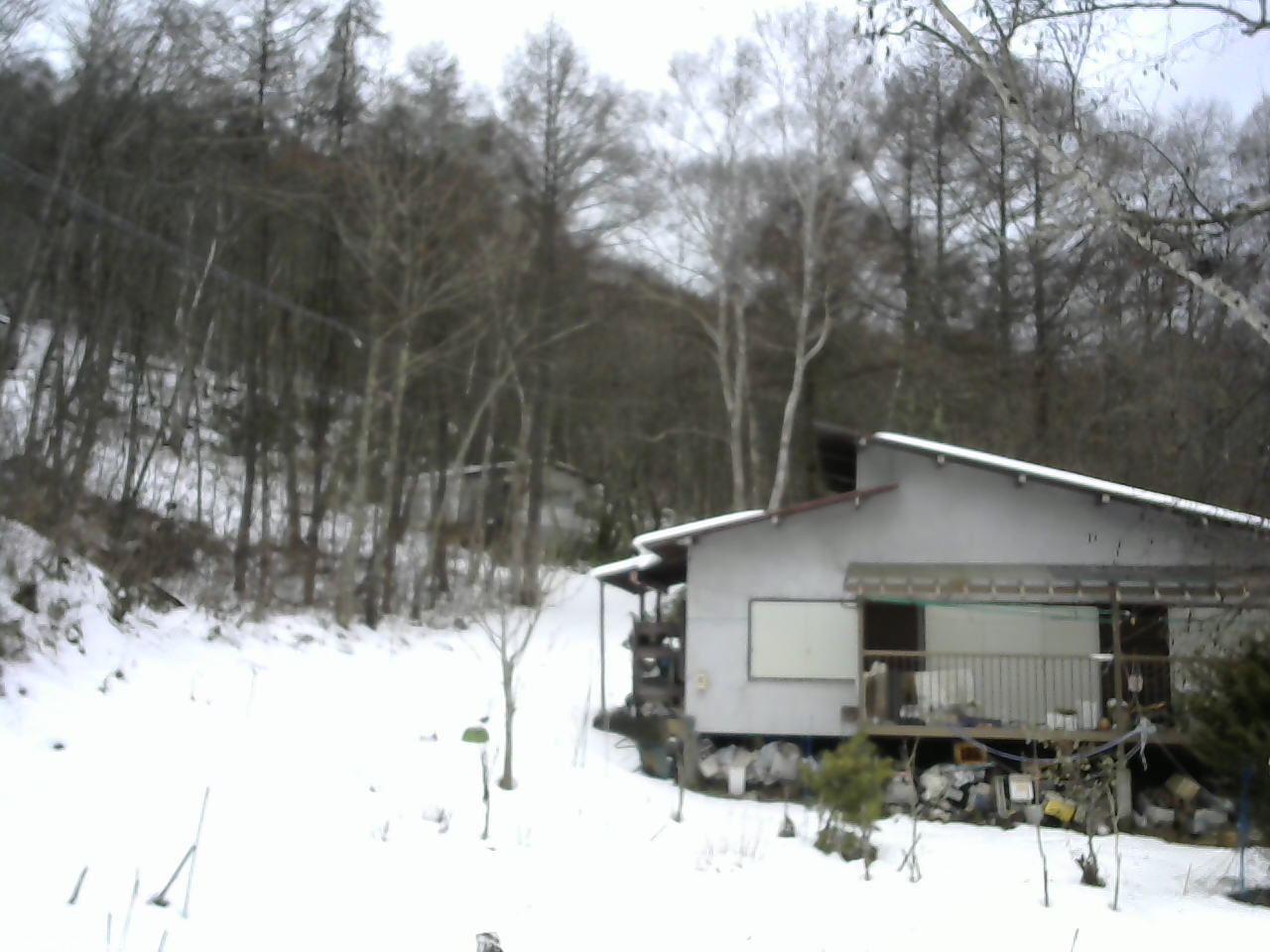 長野県菅平高原 ゆたか山荘 西側(坂上) 2025/12/21 14:00