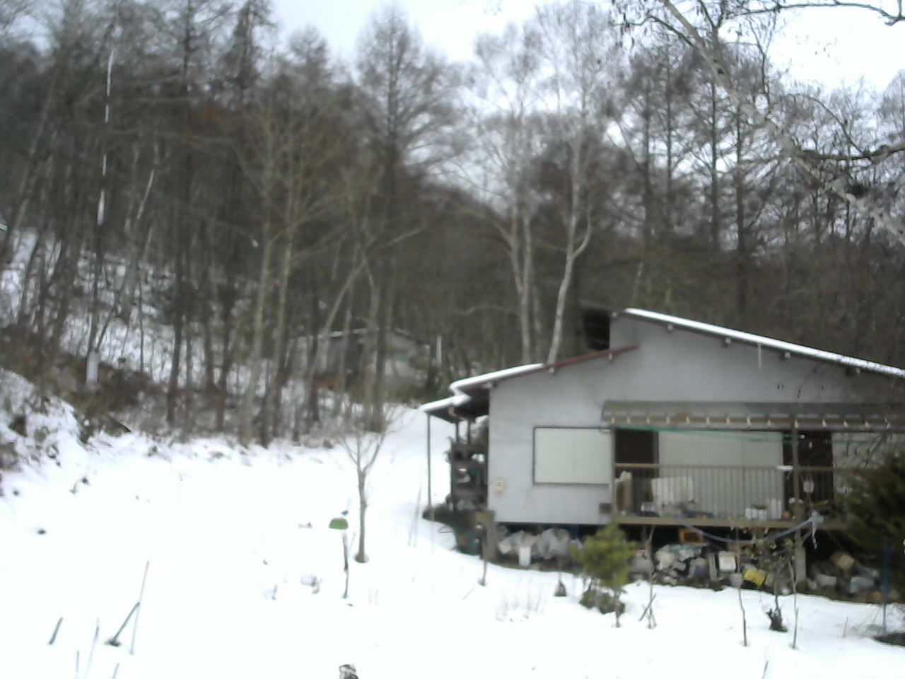 長野県菅平高原 ゆたか山荘 西側(坂上) 2025/12/21 14:45