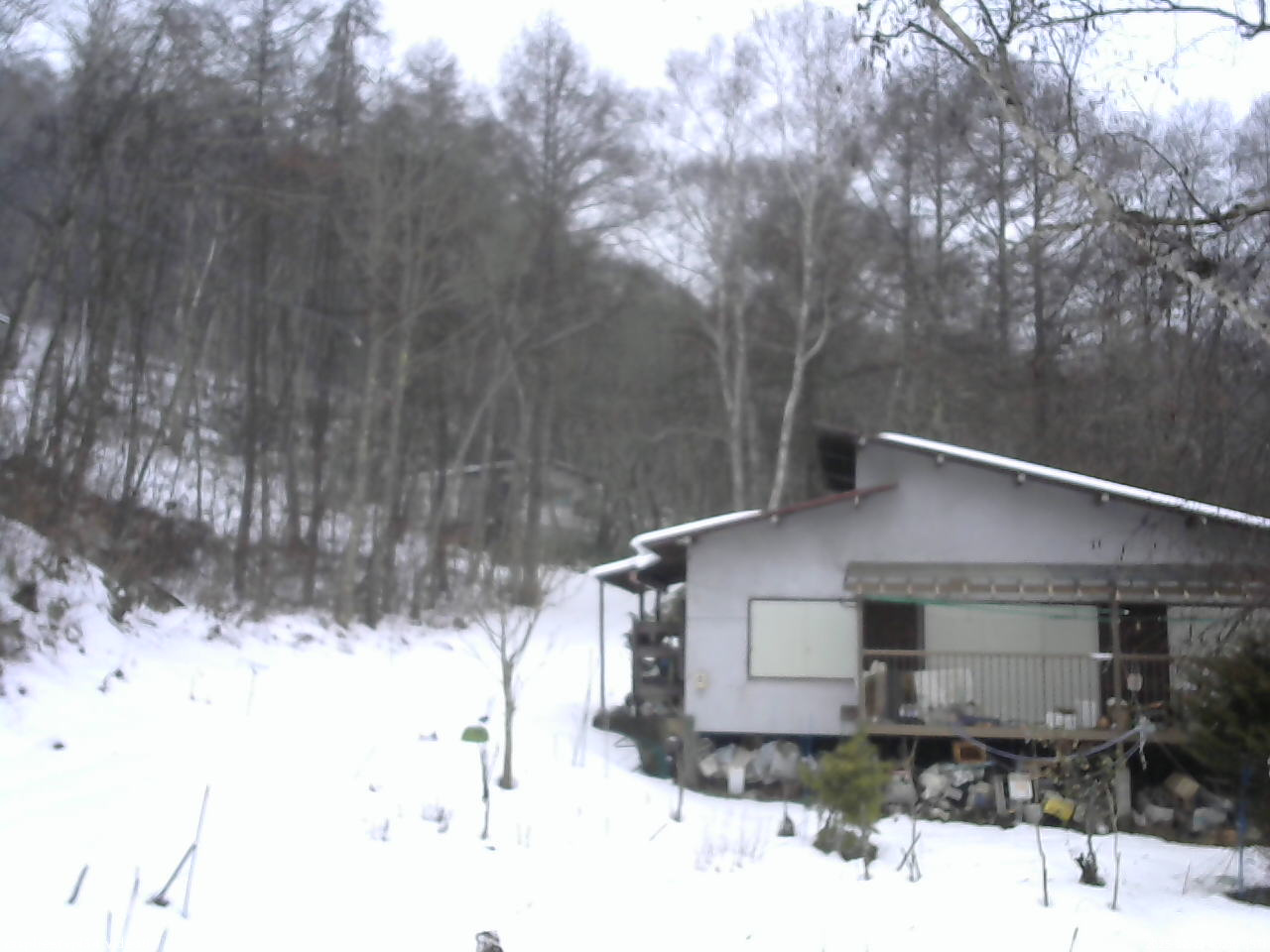 長野県菅平高原 ゆたか山荘 西側(坂上) 2025/12/21 15:00