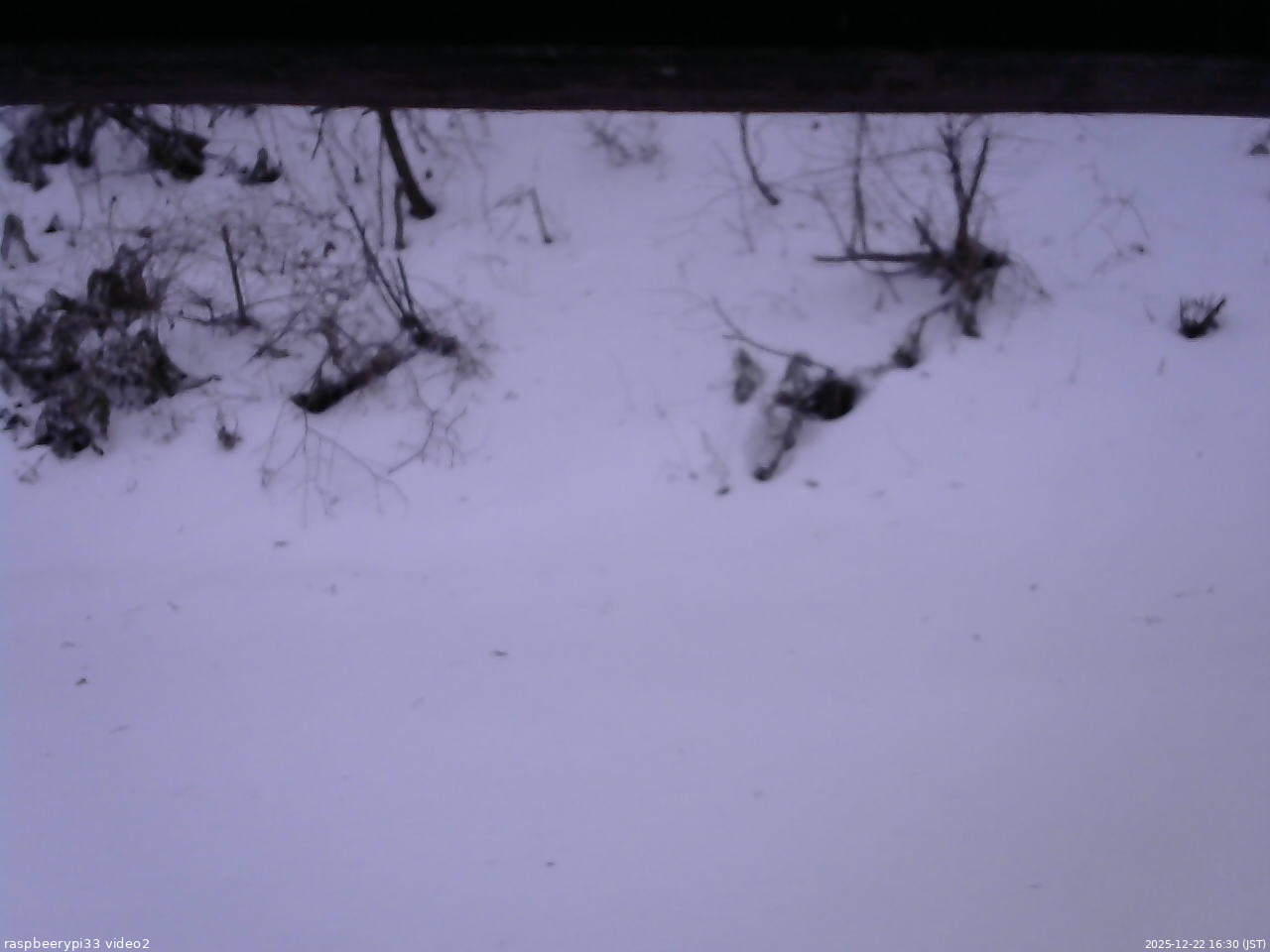 長野県菅平高原 ゆたか山荘 南側 2025/12/22 16:30