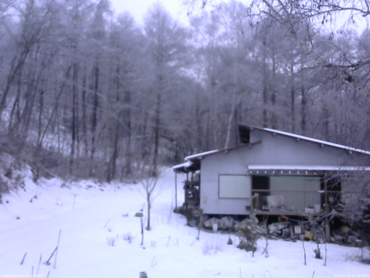 長野県菅平高原 ゆたか山荘 西側(坂上) 2025/12/22 07:30