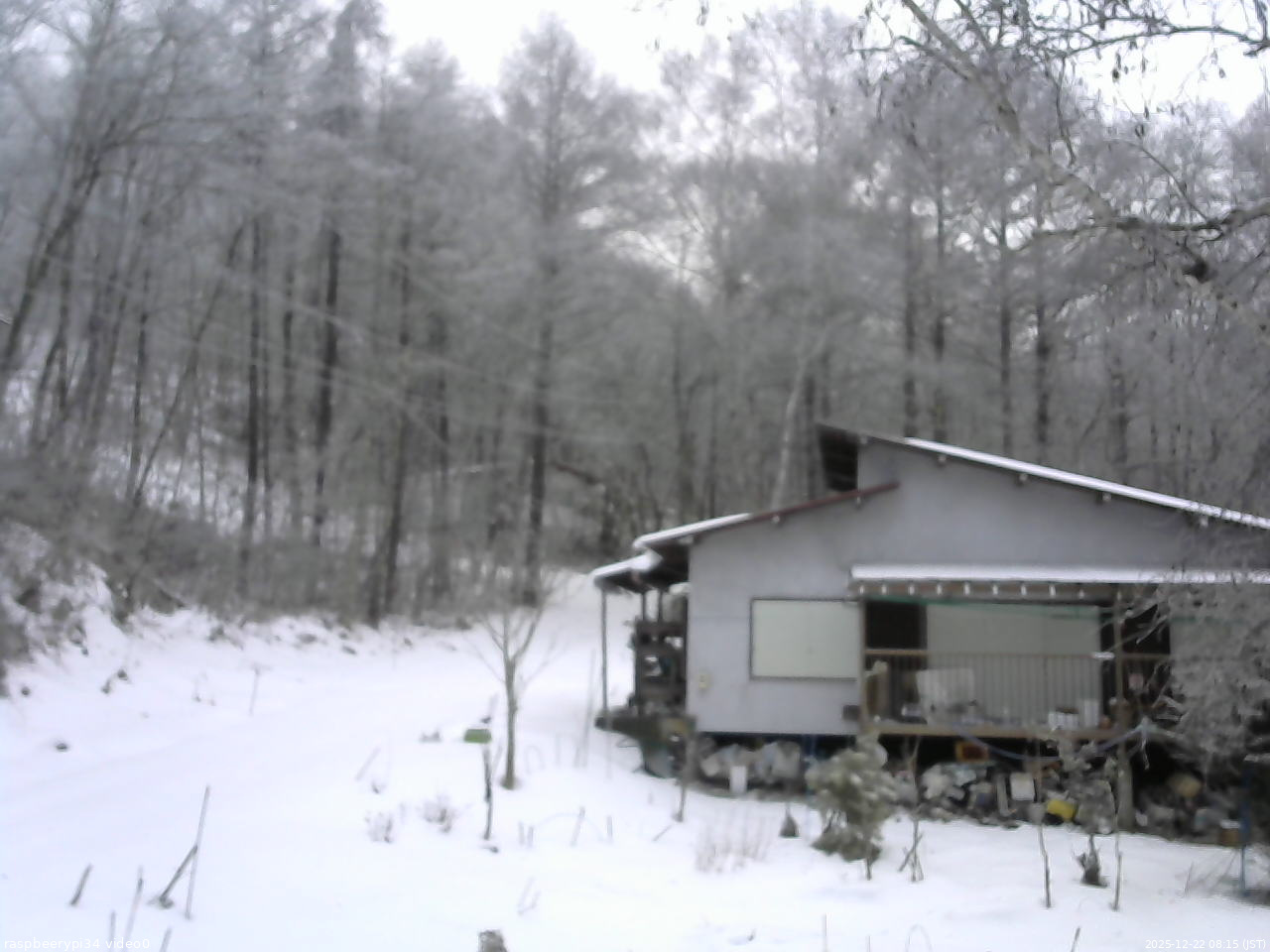 長野県菅平高原 ゆたか山荘 西側(坂上) 2025/12/22 08:15