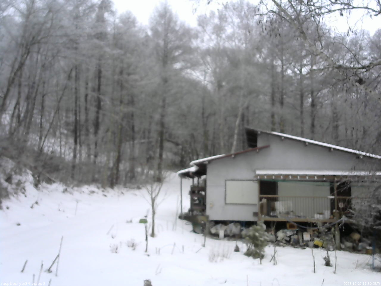 長野県菅平高原 ゆたか山荘 西側(坂上) 2025/12/22 11:30