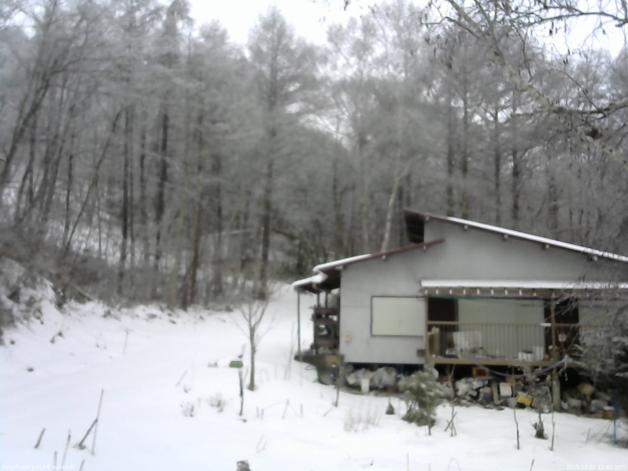 長野県菅平高原 ゆたか山荘 西側(坂上) 2025/12/22 11:45