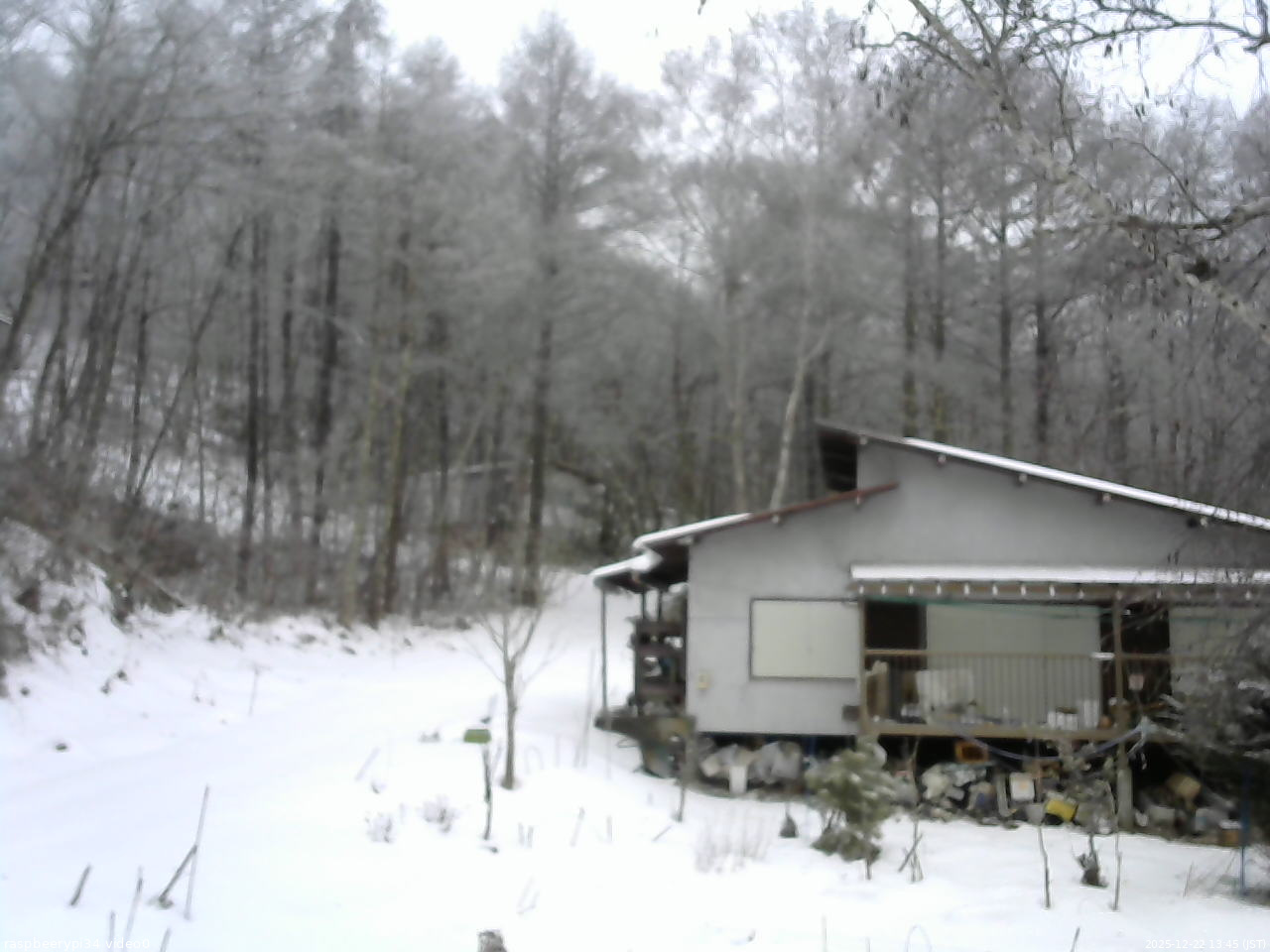 長野県菅平高原 ゆたか山荘 西側(坂上) 2025/12/22 13:45